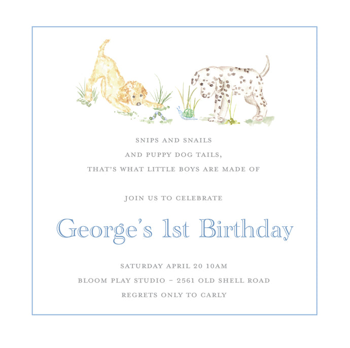 Snips and Snails II Birthday Invitations