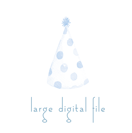 Large Digital File