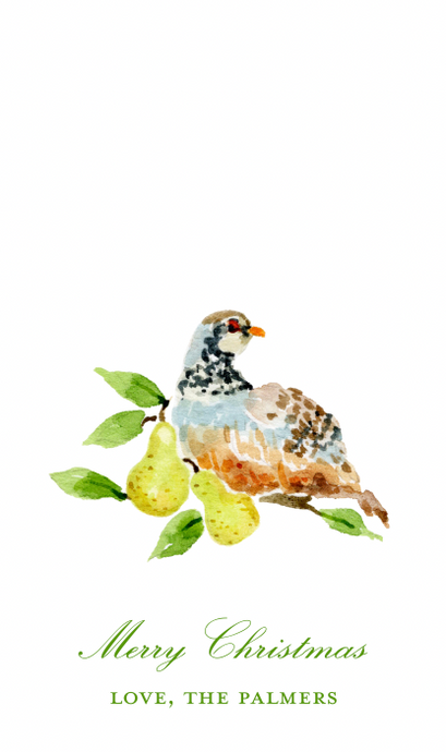 Partridge in a Pear Tree