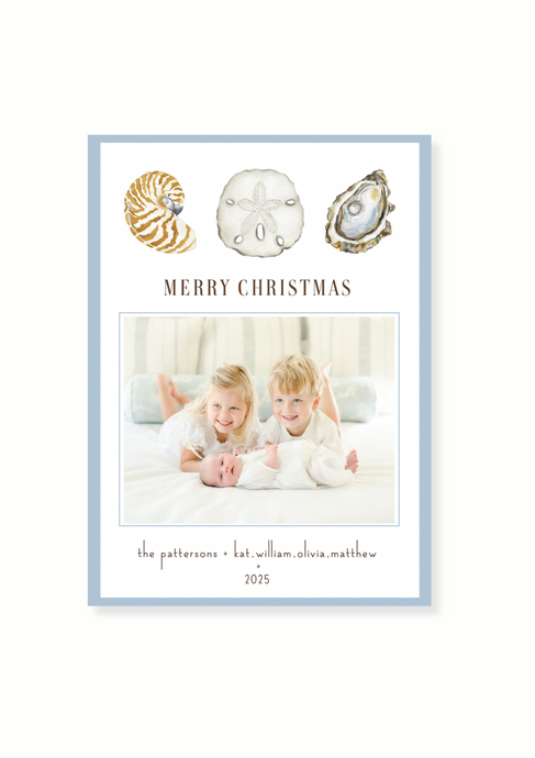 Seashell Trio