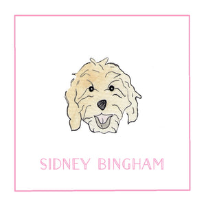 Shaggy Dog Calling Cards in Pink