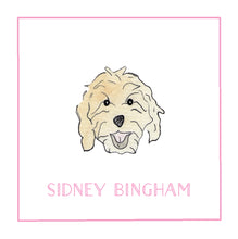 Load image into Gallery viewer, Shaggy Dog Stickers