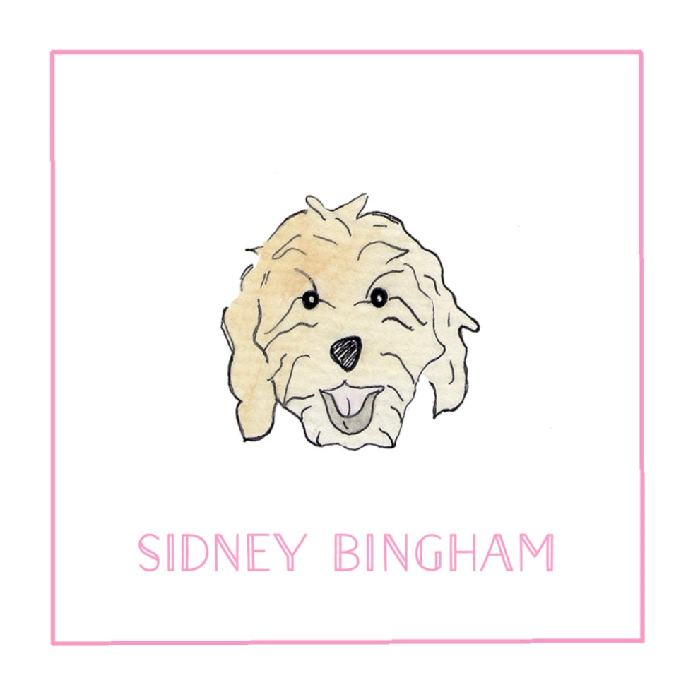 Shaggy Dog Stickers