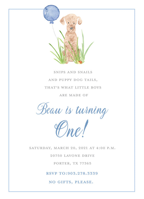 Snips and Snails Birthday Invitation