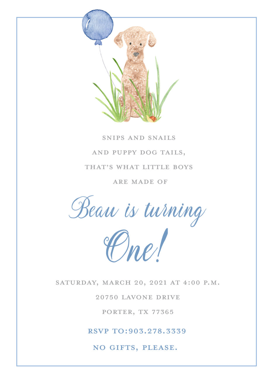 Snips and Snails Birthday Invitation